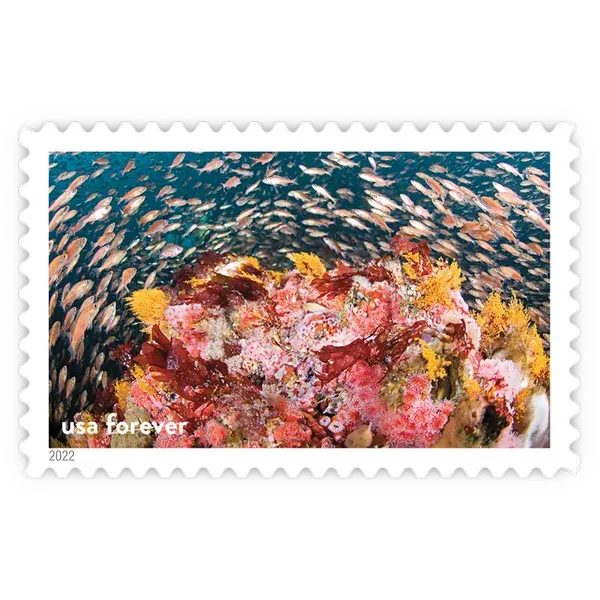 National Marine Sanctuaries Forever Stamp 2022 - Image 5