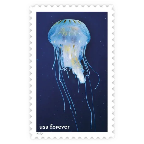 National Marine Sanctuaries Forever Stamp 2022 - Image 6