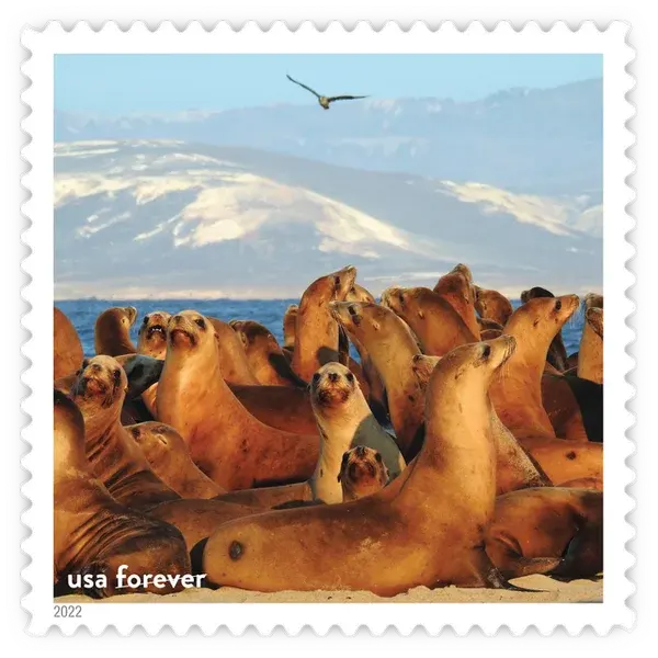 National Marine Sanctuaries Forever Stamp 2022 - Image 7