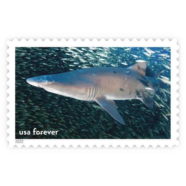 National Marine Sanctuaries Forever Stamp 2022 - Image 2