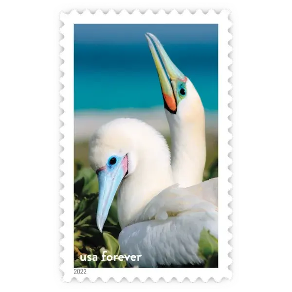 National Marine Sanctuaries Forever Stamp 2022 - Image 10