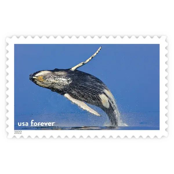 National Marine Sanctuaries Forever Stamp 2022 - Image 11