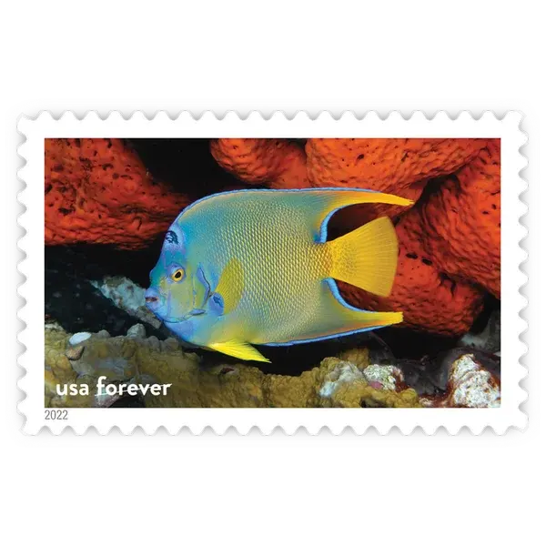 National Marine Sanctuaries Forever Stamp 2022 - Image 17