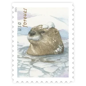 Otters in Snow Forever Stamp 2021