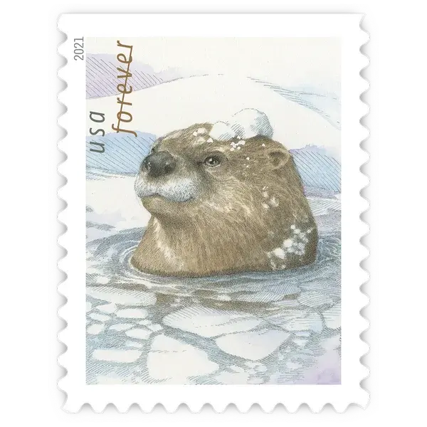 Otters in Snow Forever Stamp 2021