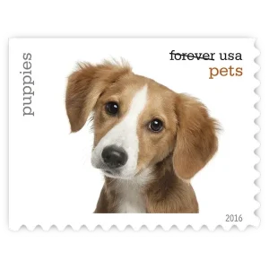 Pets Forever Stamp 2016
