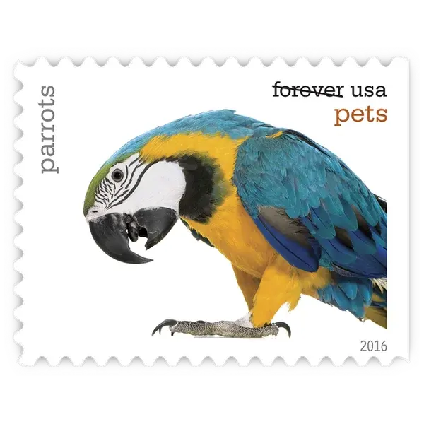Pets Forever Stamp 2016 - Image 3