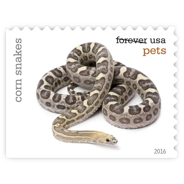 Pets Forever Stamp 2016 - Image 4