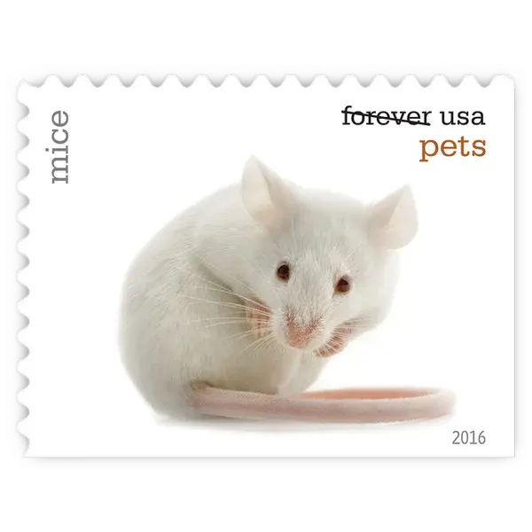 Pets Forever Stamp 2016 - Image 5