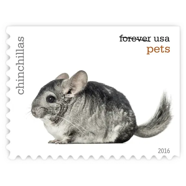 Pets Forever Stamp 2016 - Image 7