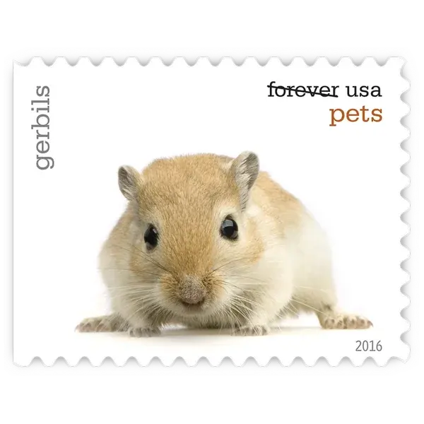 Pets Forever Stamp 2016 - Image 8