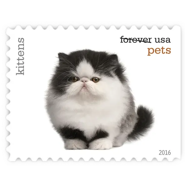 Pets Forever Stamp 2016 - Image 18