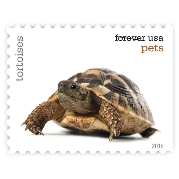 Pets Forever Stamp 2016 - Image 20