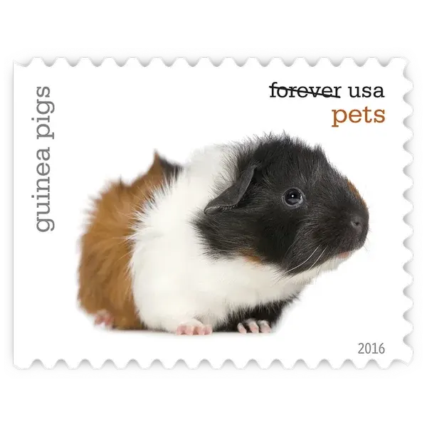 Pets Forever Stamp 2016 - Image 21