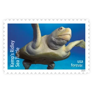 Protect Sea Turtles Forever Stamp 2024
