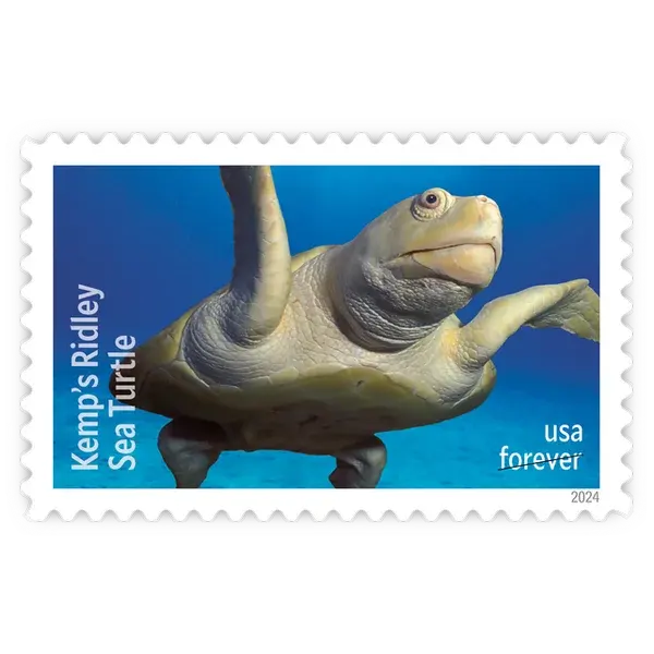 Protect Sea Turtles Forever Stamp 2024
