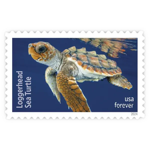 Protect Sea Turtles Forever Stamp 2024 - Image 5