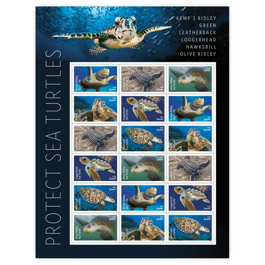 Protect Sea Turtles Forever Stamp 2024 - Image 2