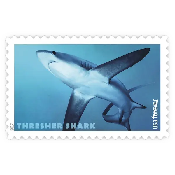 Sharks Forever Stamp 2017 - Image 3