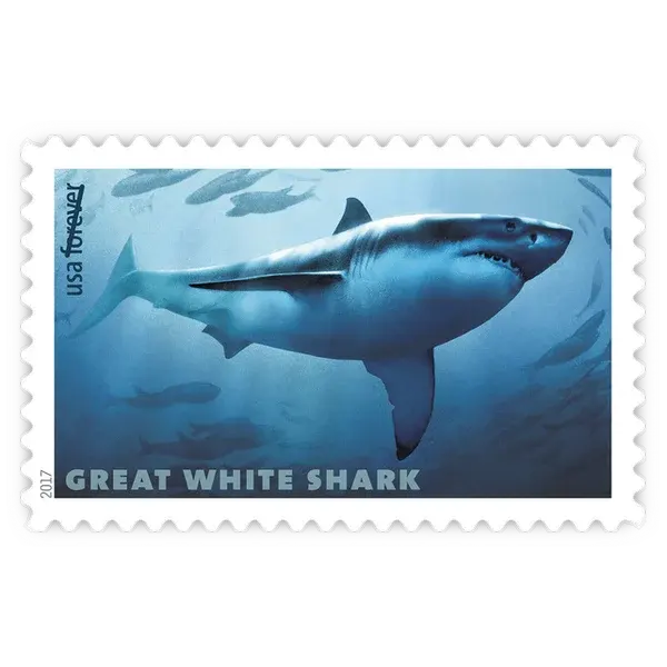 Sharks Forever Stamp 2017 - Image 4