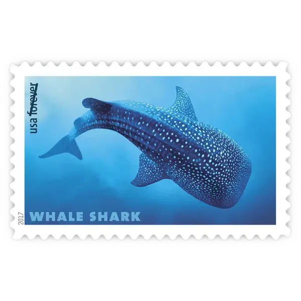 Sharks Forever Stamp 2017 - Image 5