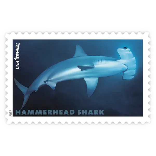 Sharks Forever Stamp 2017 - Image 6