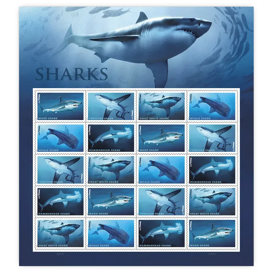 Sharks Forever Stamp 2017 - Image 2