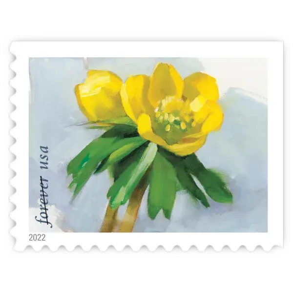 Snowy Beauty Forever Stamp 2022 - Image 4