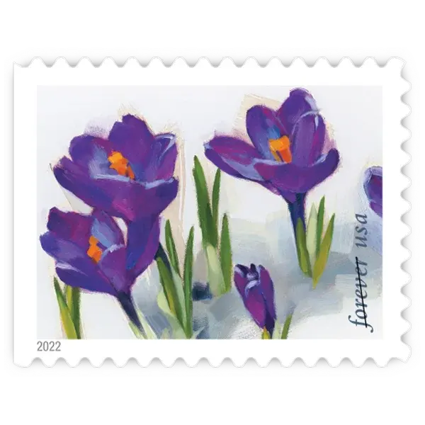 Snowy Beauty Forever Stamp 2022 - Image 5