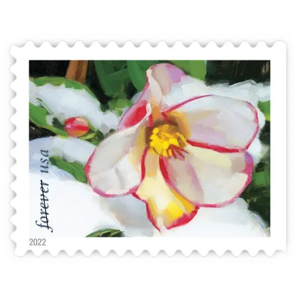 Snowy Beauty Forever Stamp 2022 - Image 6