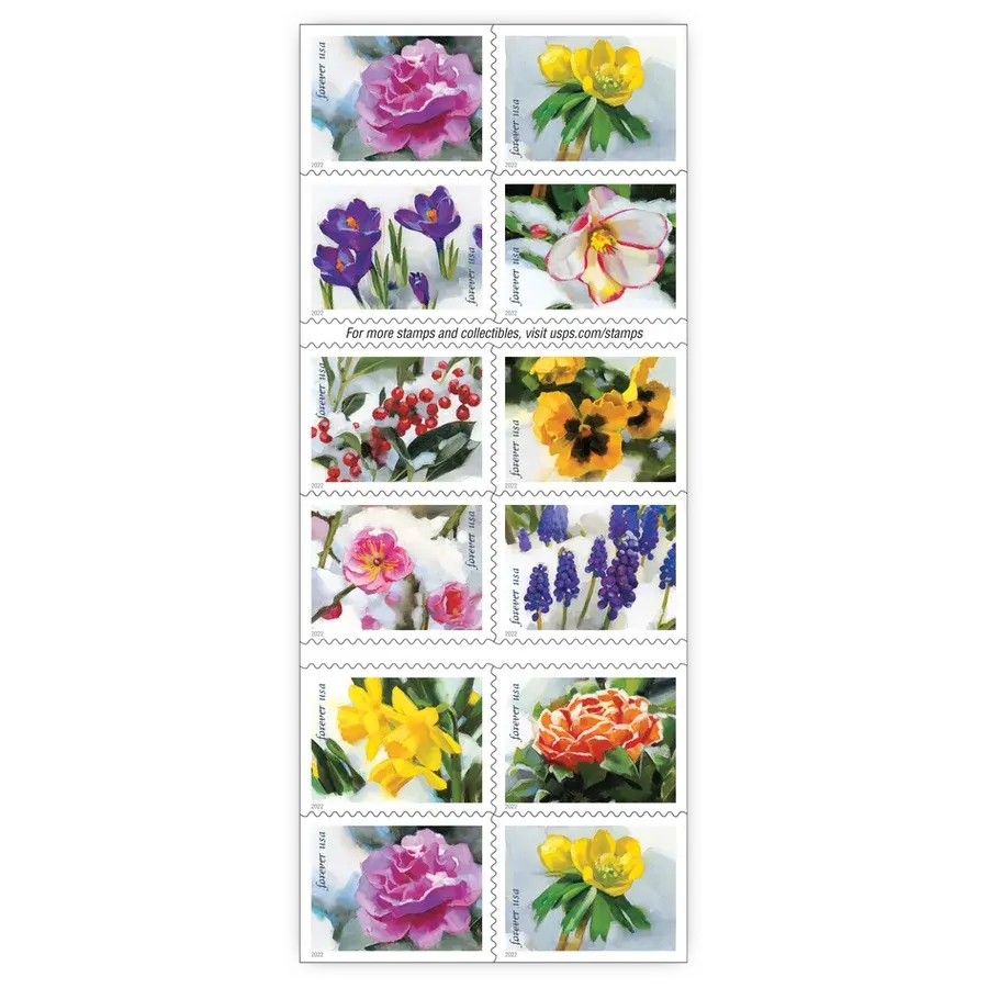 Snowy Beauty Forever Stamp 2022 - Image 2