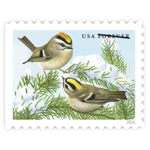 Songbirds in Snow Forever Stamp 2016