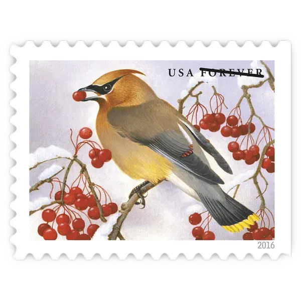 Songbirds in Snow Forever Stamp 2016 - Image 3