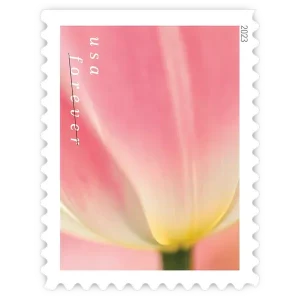 Tulip Blossoms Forever Stamp 2023