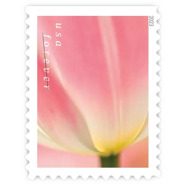 Tulip Blossoms Forever Stamp 2023