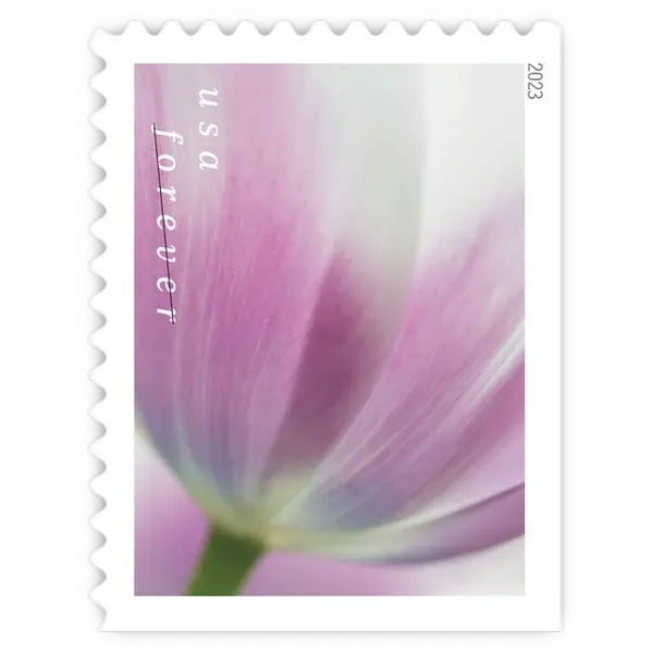Tulip Blossoms Forever Stamp 2023 - Image 3