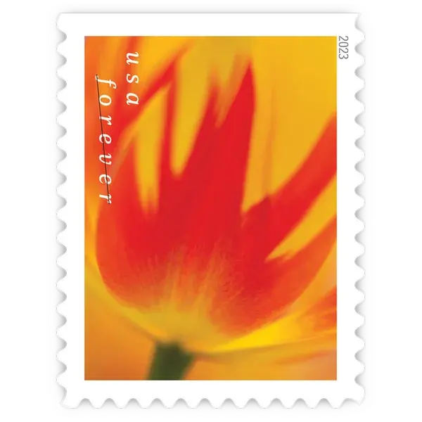 Tulip Blossoms Forever Stamp 2023 - Image 5