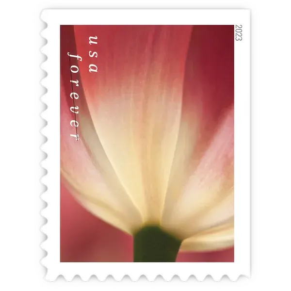 Tulip Blossoms Forever Stamp 2023 - Image 7