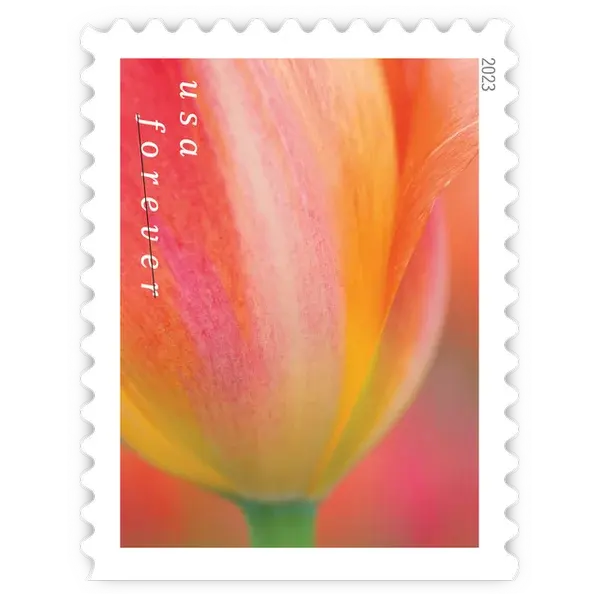 Tulip Blossoms Forever Stamp 2023 - Image 8