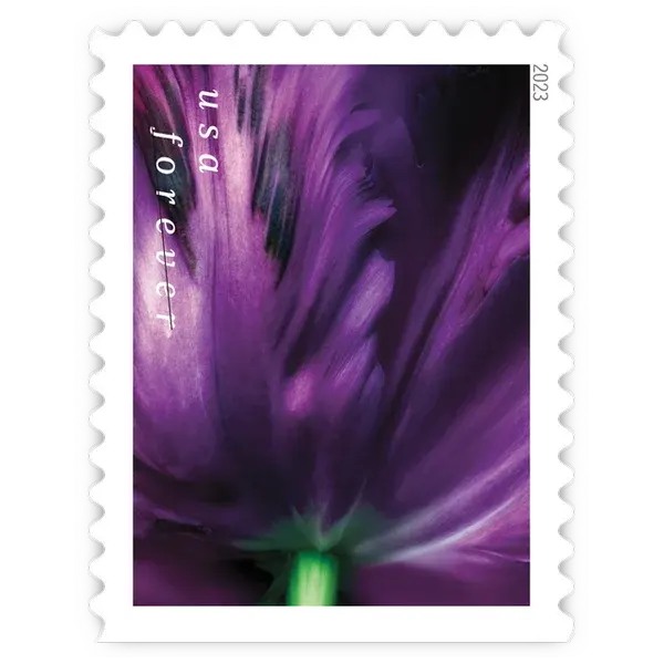 Tulip Blossoms Forever Stamp 2023 - Image 9