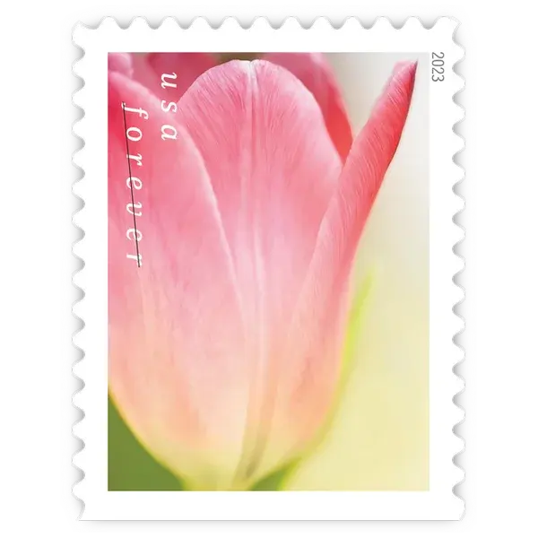 Tulip Blossoms Forever Stamp 2023 - Image 11