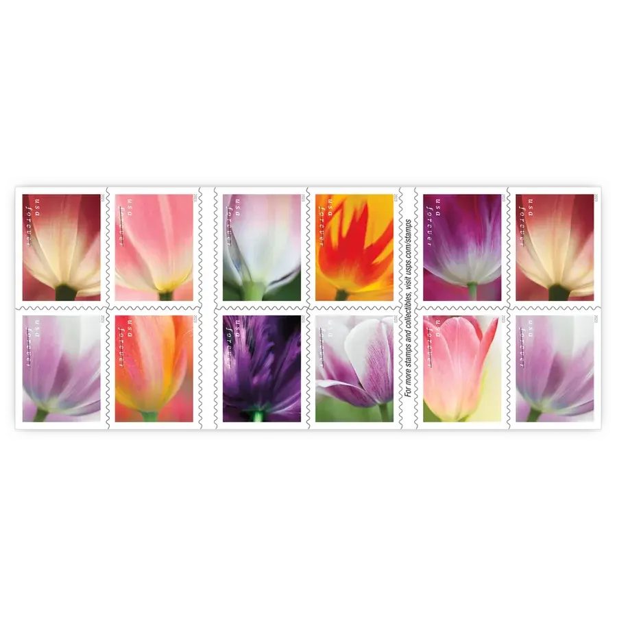Tulip Blossoms Forever Stamp 2023 - Image 2