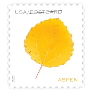 Postcard: Vibrant Leaves Forever Stamp 2025
