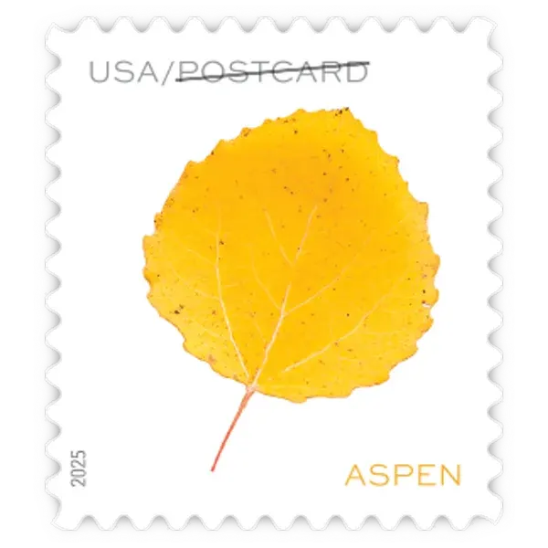 Postcard Coil: Vibrant Leaves Forever Stamp - Image 3