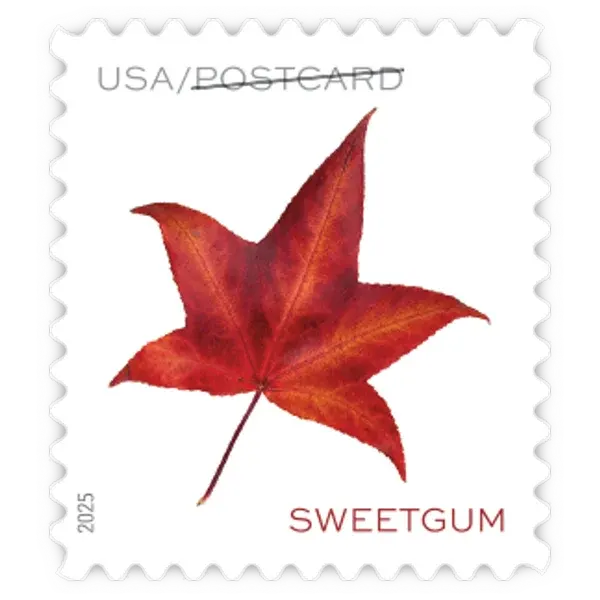 Postcard Coil: Vibrant Leaves Forever Stamp - Image 6