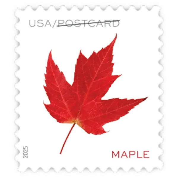 Postcard Coil: Vibrant Leaves Forever Stamp - Image 5