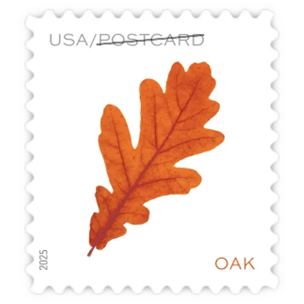 Postcard Coil: Vibrant Leaves Forever Stamp - Image 4