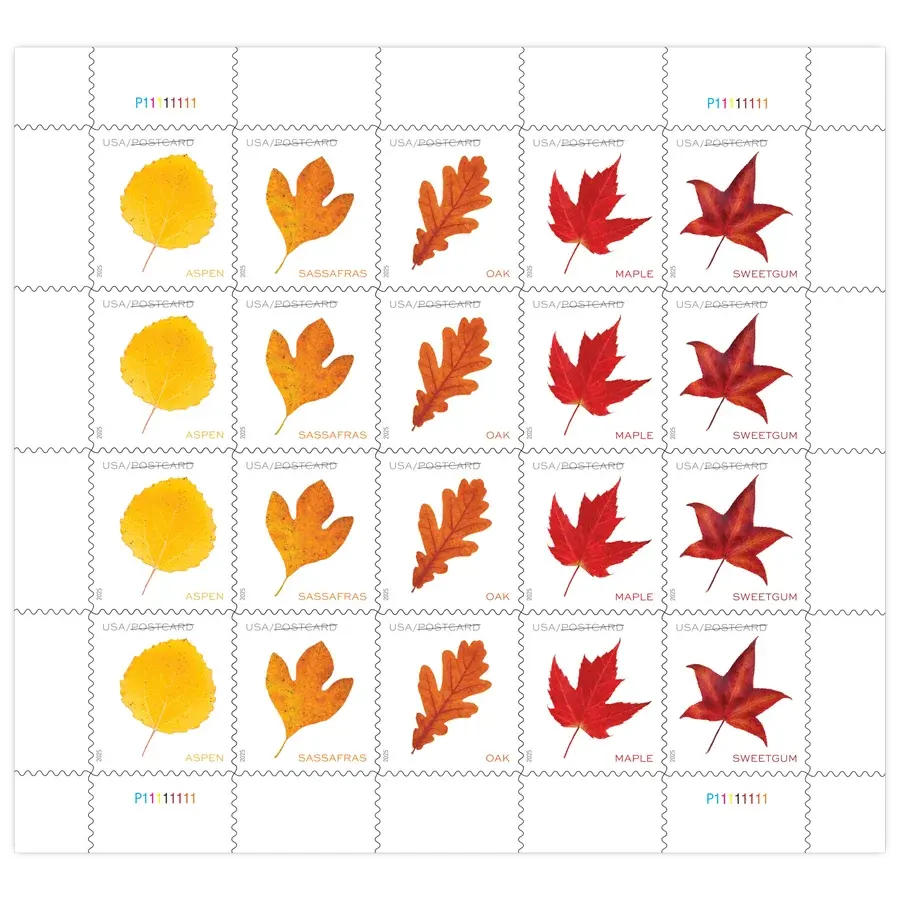 Postcard: Vibrant Leaves Forever Stamp 2025 - Image 2