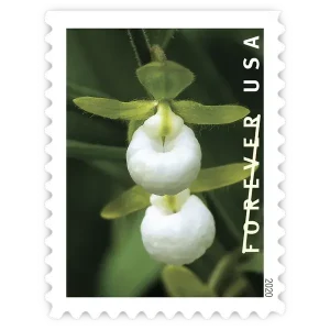 Wild Orchids Forever Stamp 2020