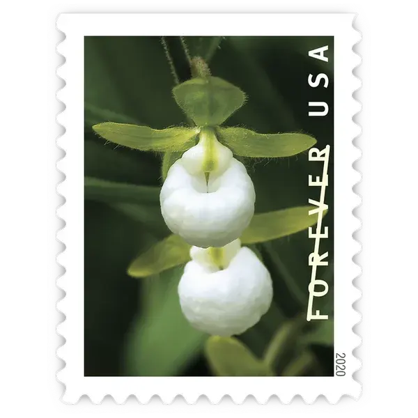 Wild Orchids Forever Stamp 2020